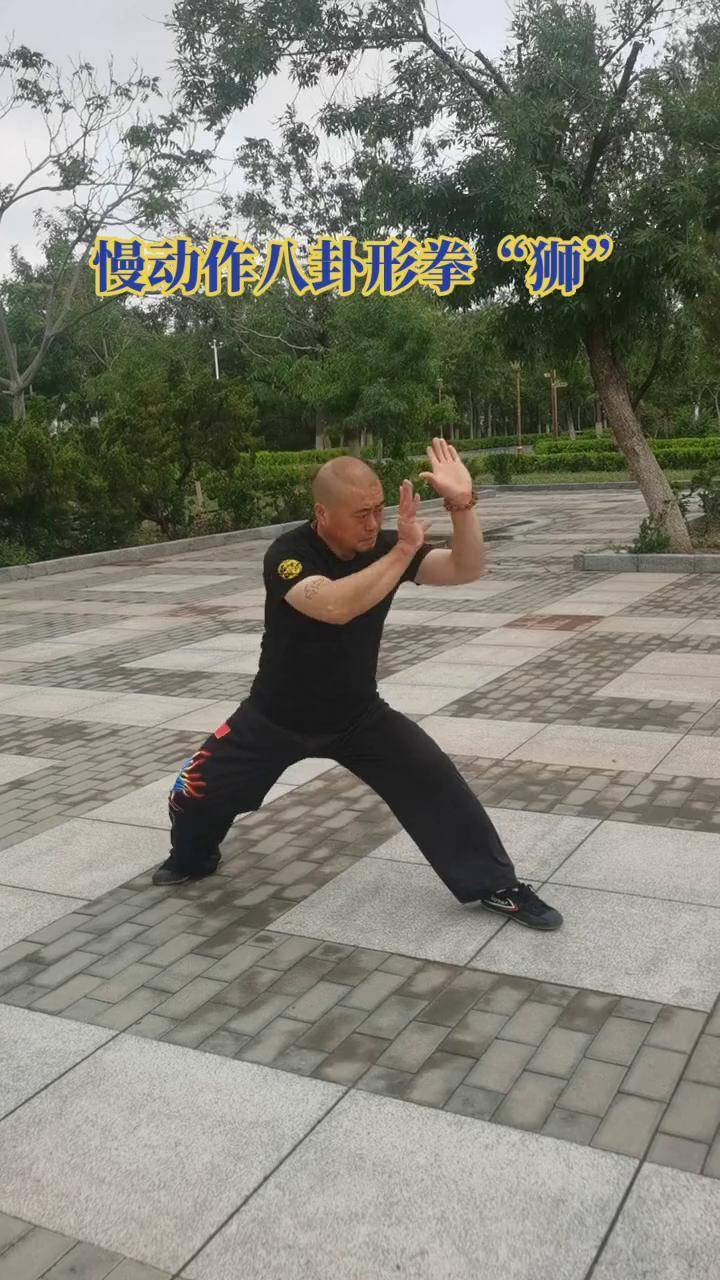 华体会官方网站下载-关于传统武术表演秀，传递文化正能量的信息