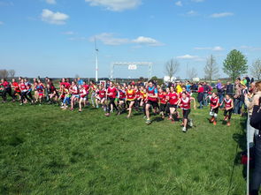 华体会在线登录-中国篮球青少年篮球发展与体育政策关系研究，中国青少年篮球发展现状