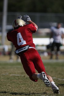华体会体育app-德甲球队视频分析辅助防守站位调整的实证研究，德甲身体对抗