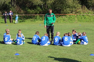 -南非混合泳团队战术引热议，南非的混合农业